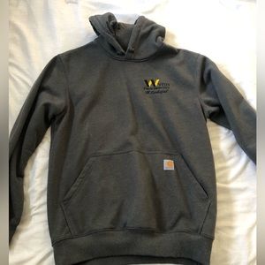 Carhartt Rain Defender Loose Fit Hoodie